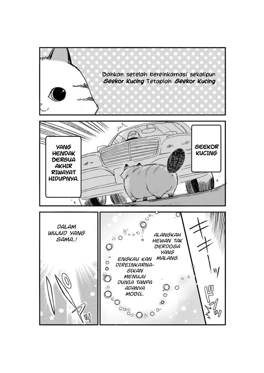 A Story about a Cat Reincarnated in a Different World Where There are no Cats Chapter 01 Bahasa Indonesia