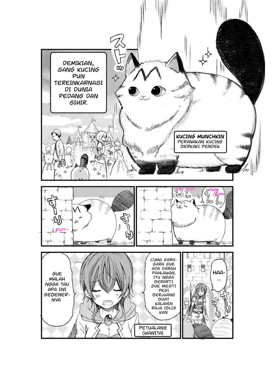 A Story about a Cat Reincarnated in a Different World Where There are no Cats Chapter 01 Bahasa Indonesia