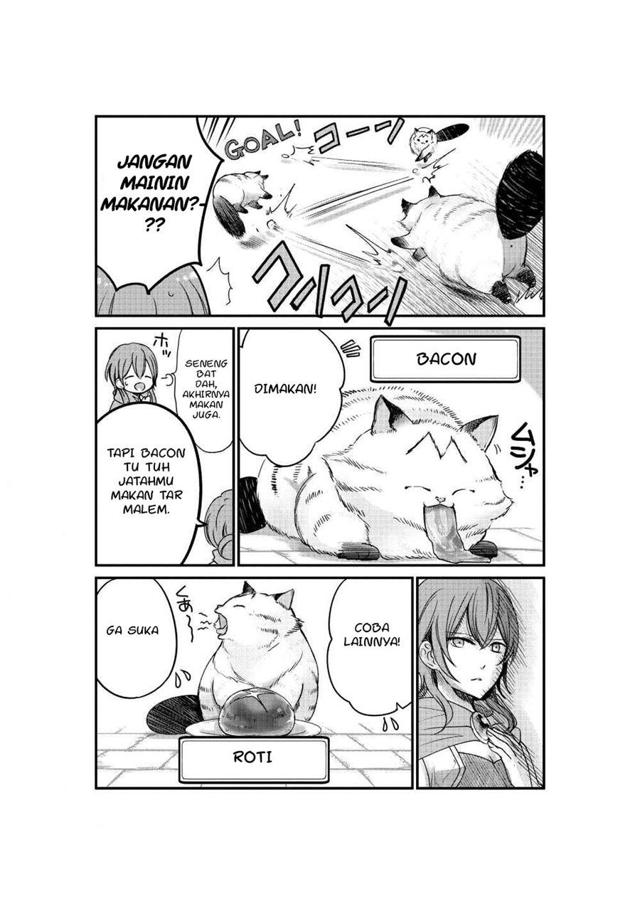 A Story about a Cat Reincarnated in a Different World Where There are no Cats chapter 3