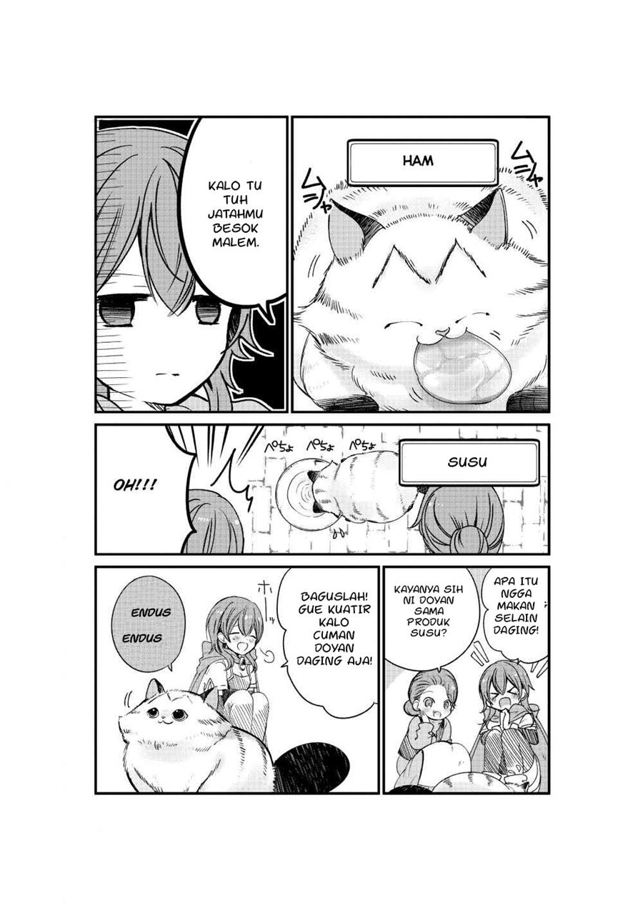 A Story about a Cat Reincarnated in a Different World Where There are no Cats chapter 3