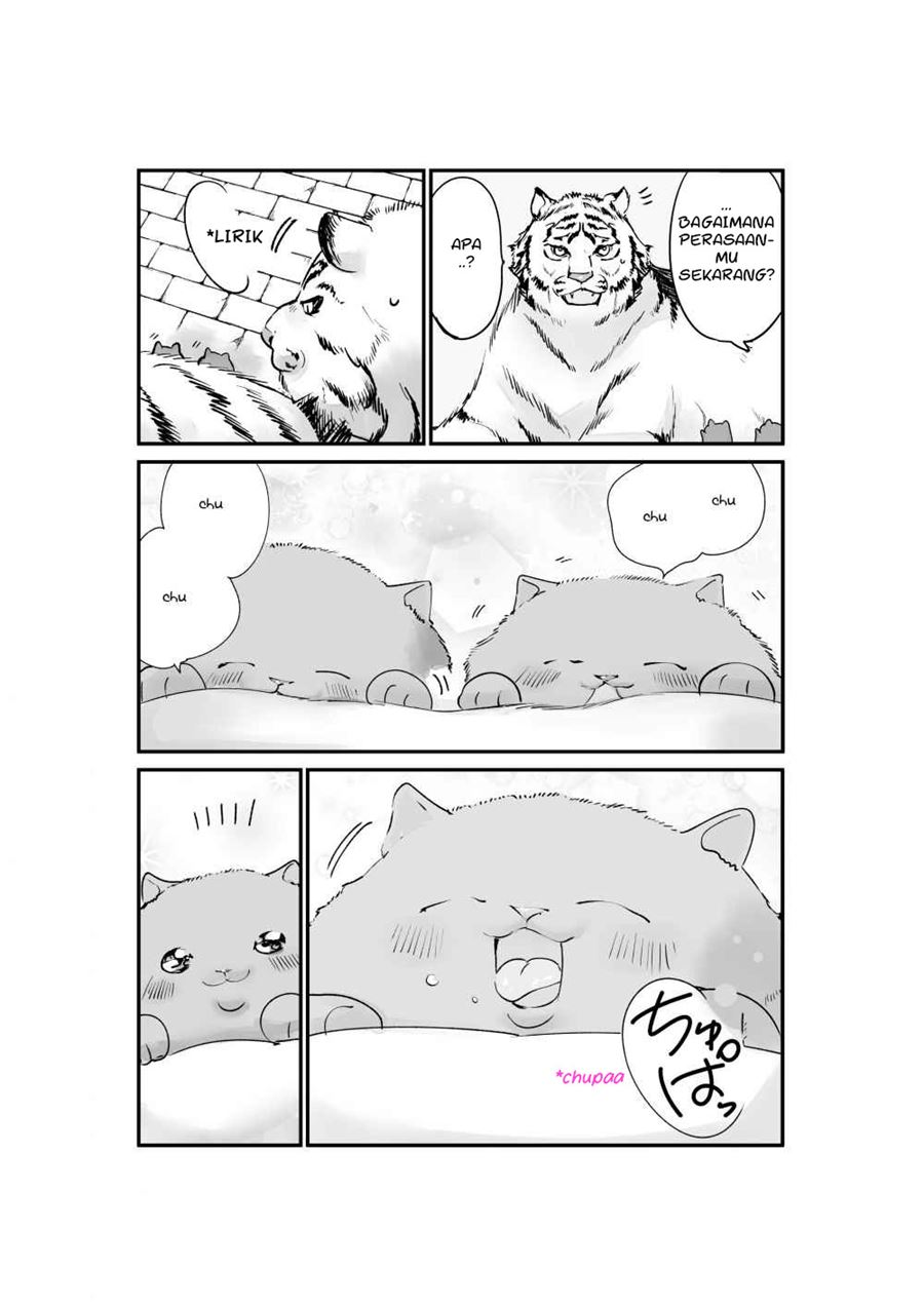 A Story about a Cat Reincarnated in a Different World Where There are no Cats chapter 9