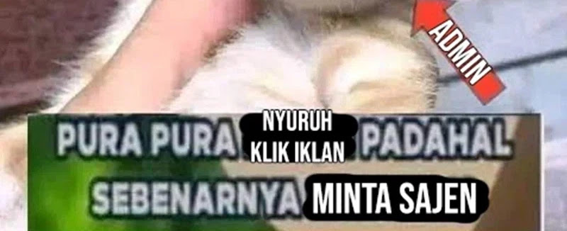 Adventures of an Undead Who Became Paladin Chapter 164 Bahasa Indonesia