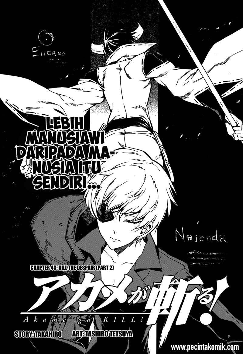 Akame ga Kill Chapter 44