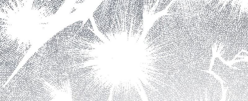 All Hail the Sect Leader Chapter 248 Bahasa Indonesia