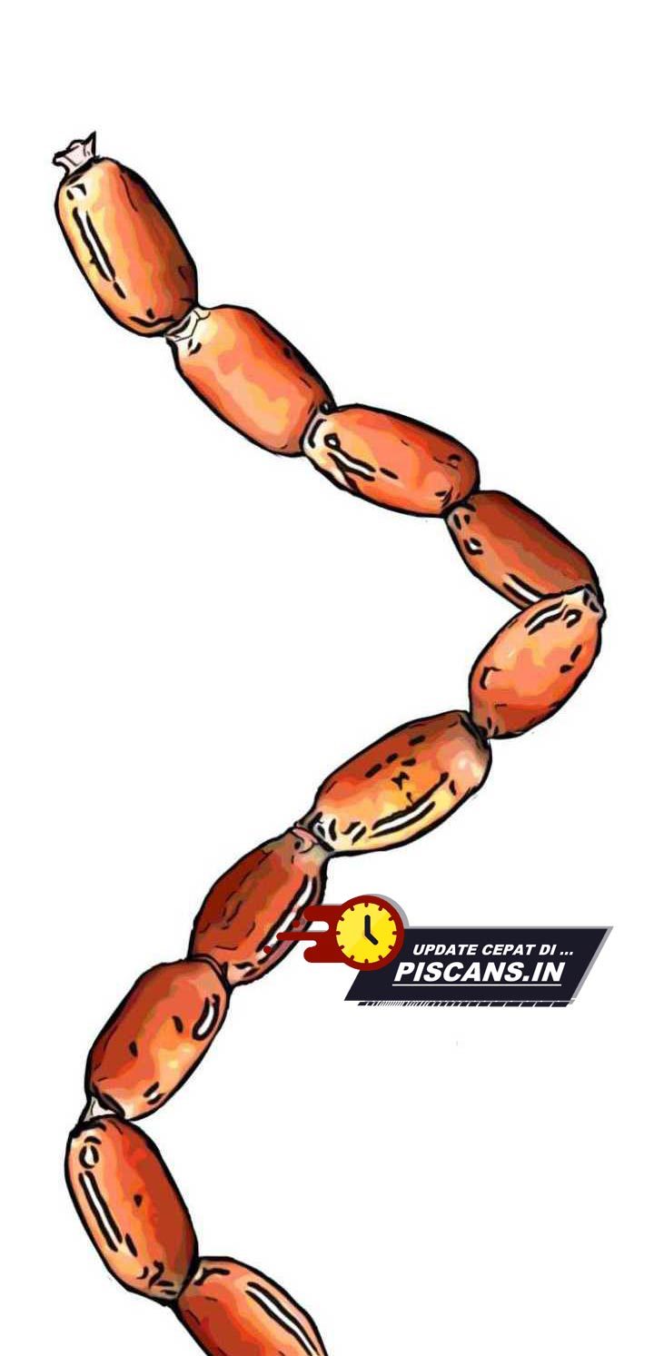 Attention Seeker Chapter 51 Bahasa Indonesia