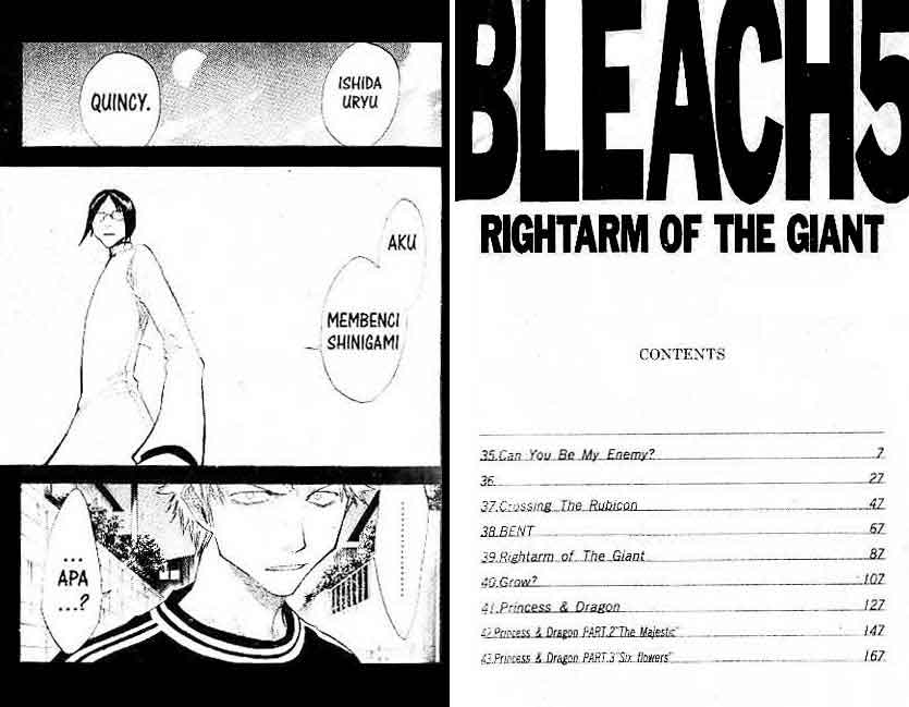 Bleach Vol 5 Bahasa Indonesia