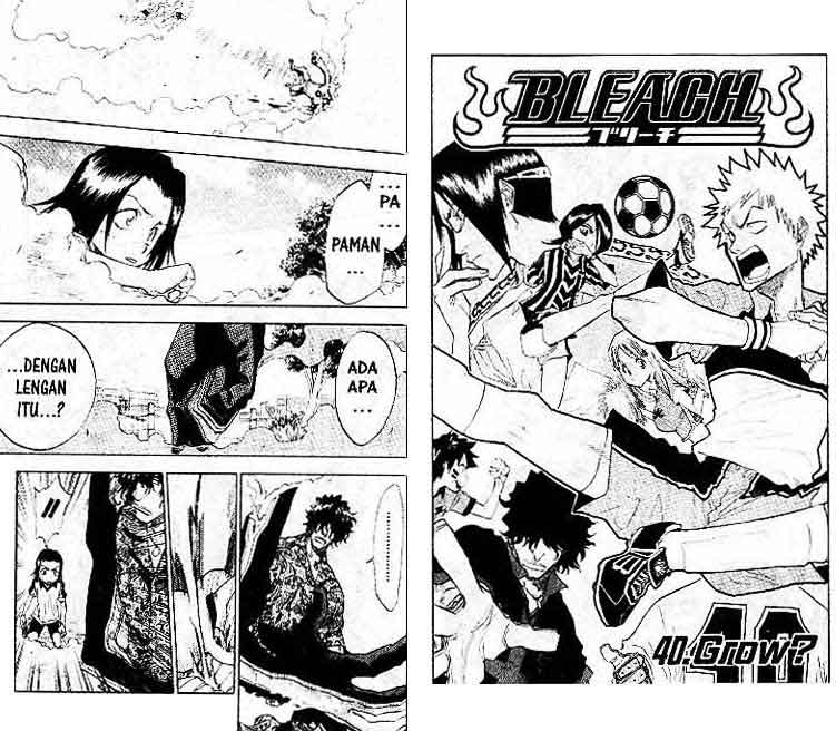 Bleach Vol 5 Bahasa Indonesia