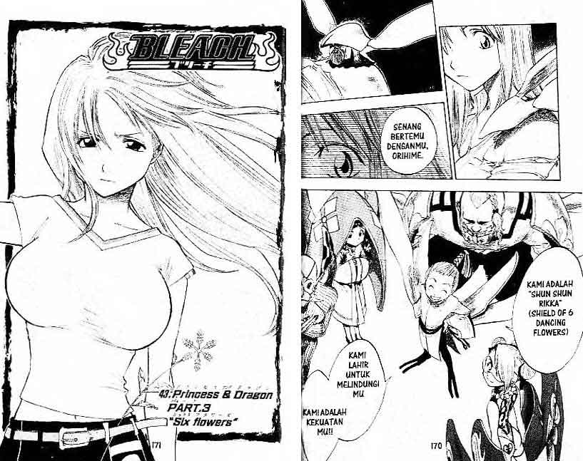 Bleach Vol 5 Bahasa Indonesia