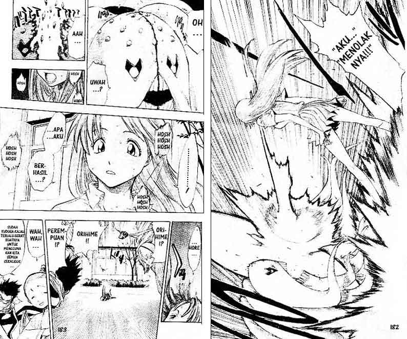 Bleach Vol 5 Bahasa Indonesia