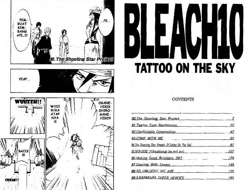 Bleach Vol 10 Bahasa Indonesia
