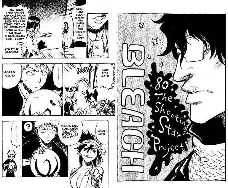 Bleach Vol 10 Bahasa Indonesia