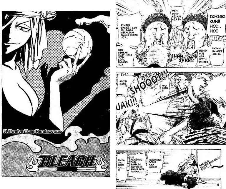 Bleach Vol 10 Bahasa Indonesia
