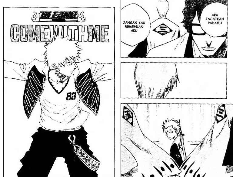 Bleach Vol 10 Bahasa Indonesia