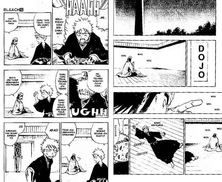 Bleach Vol 10 Bahasa Indonesia