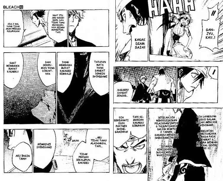 Bleach Vol 10 Bahasa Indonesia