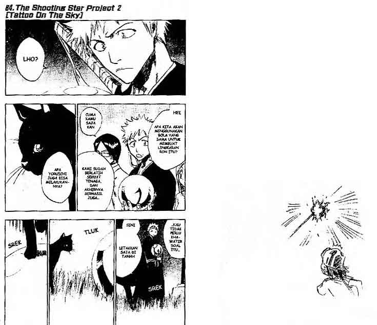 Bleach Vol 10 Bahasa Indonesia
