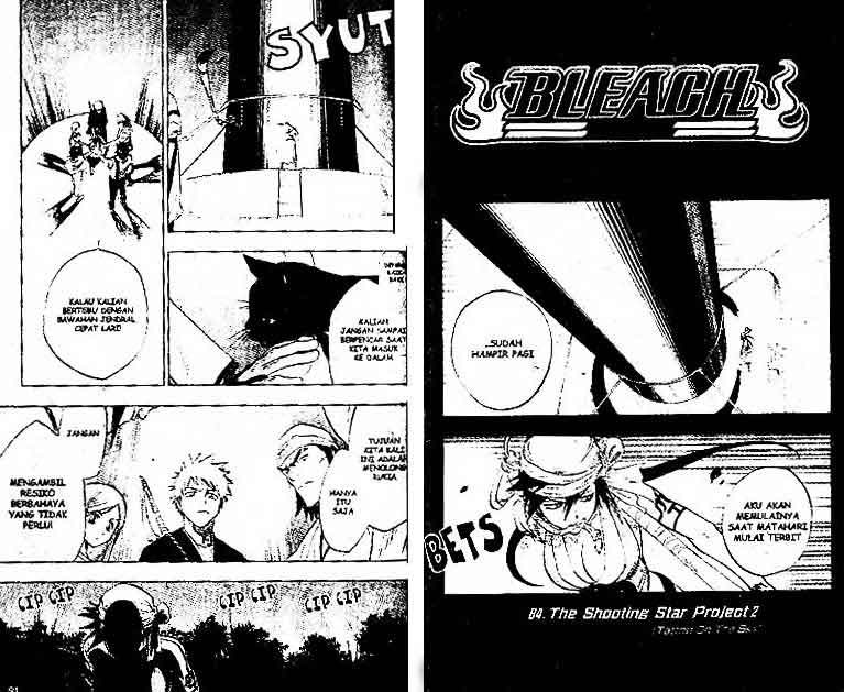 Bleach Vol 10 Bahasa Indonesia