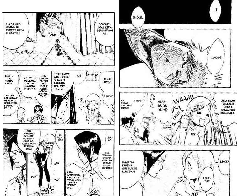 Bleach Vol 10 Bahasa Indonesia