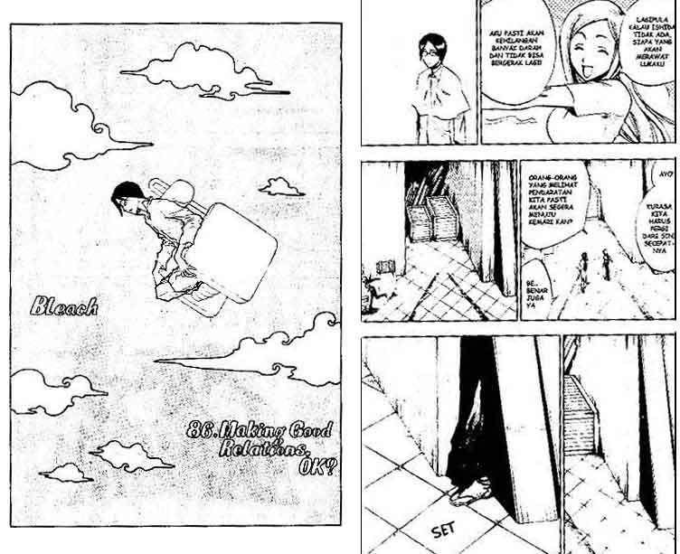 Bleach Vol 10 Bahasa Indonesia