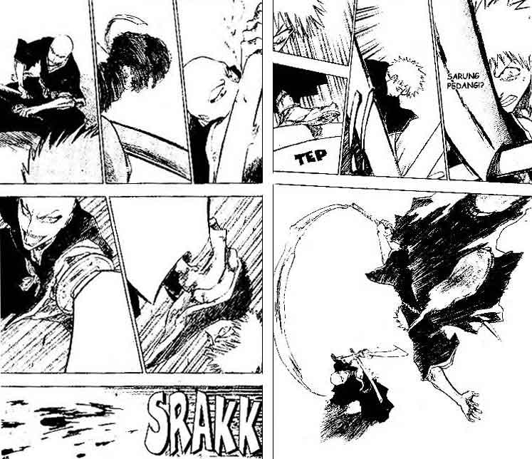 Bleach Vol 10 Bahasa Indonesia
