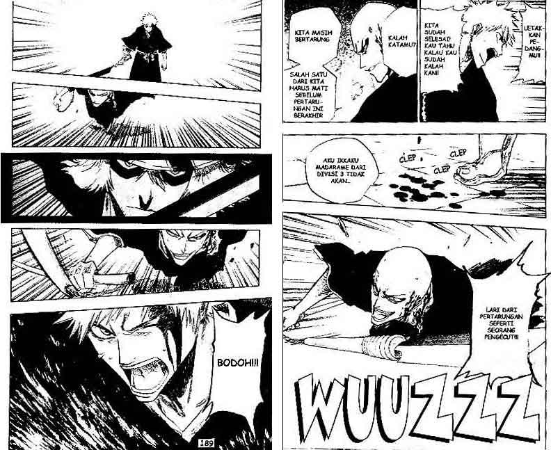 Bleach Vol 10 Bahasa Indonesia