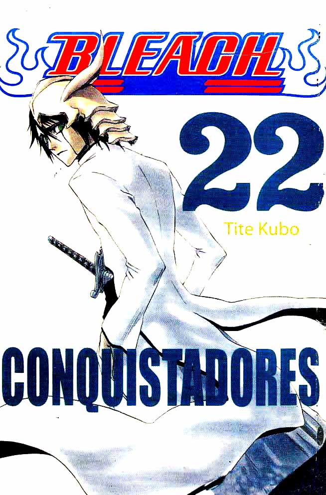 Bleach Vol 22 Bahasa Indonesia