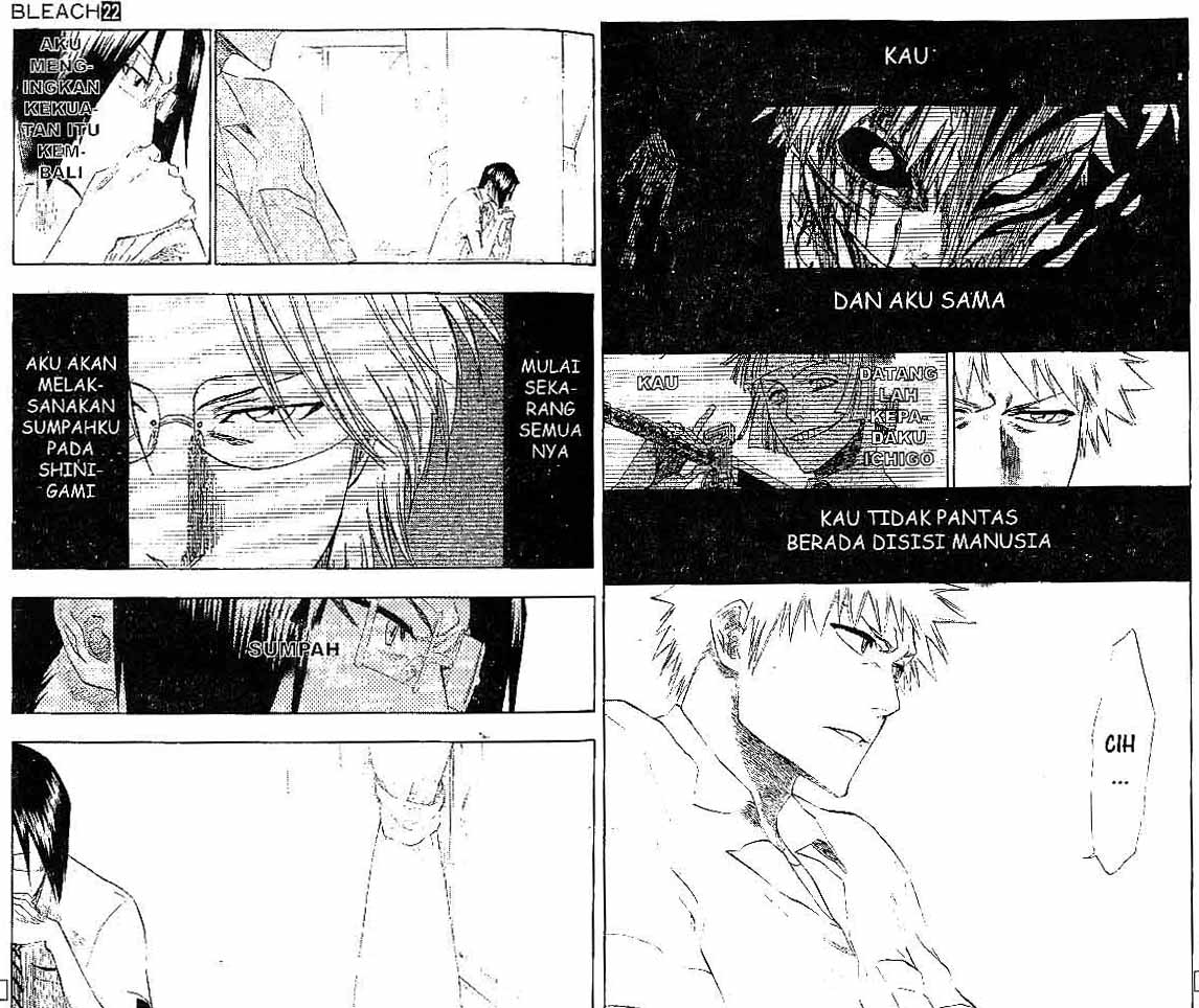 Bleach Vol 22 Bahasa Indonesia