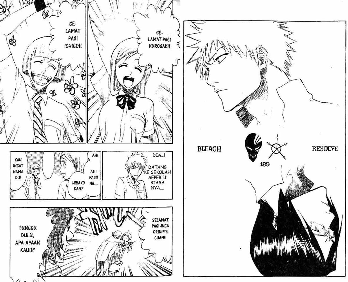 Bleach Vol 22 Bahasa Indonesia