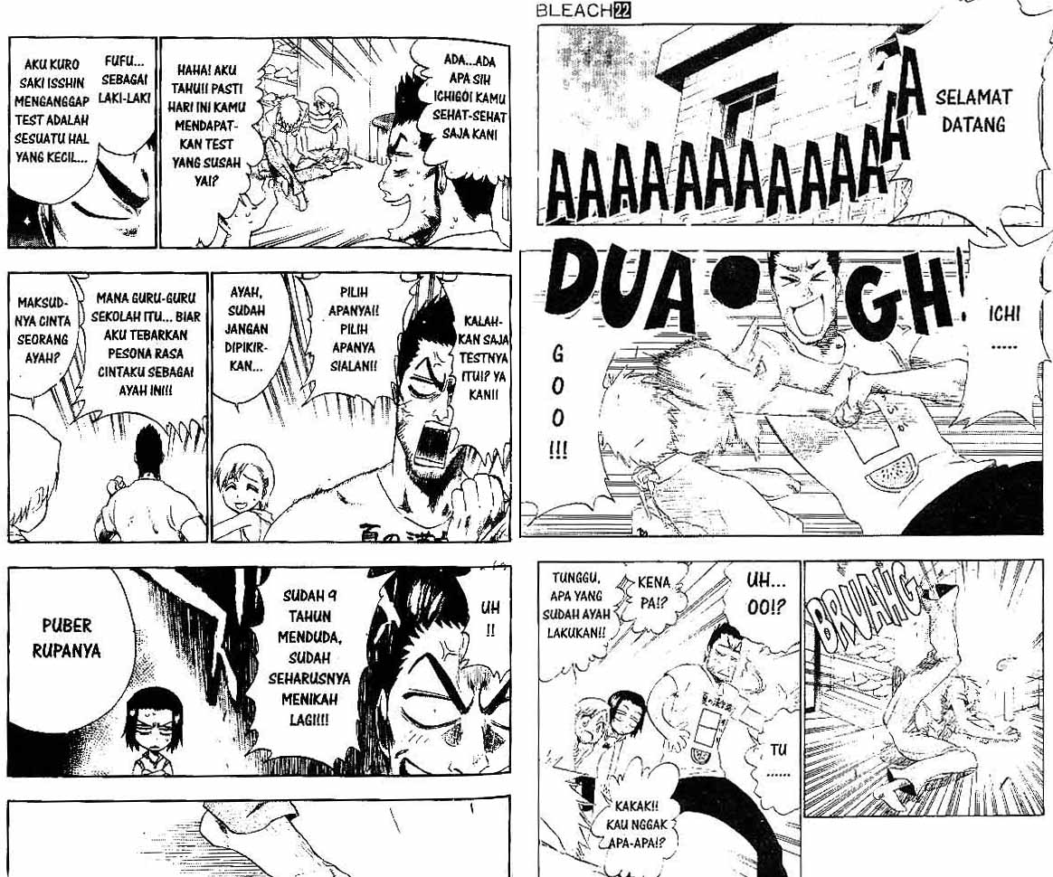 Bleach Vol 22 Bahasa Indonesia