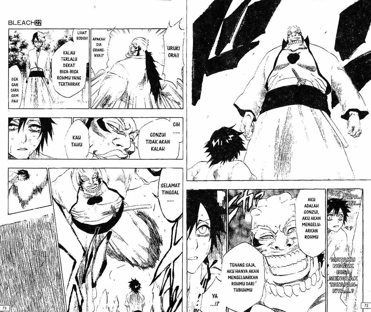 Bleach Vol 22 Bahasa Indonesia