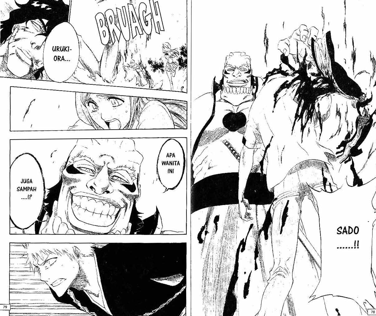 Bleach Vol 22 Bahasa Indonesia