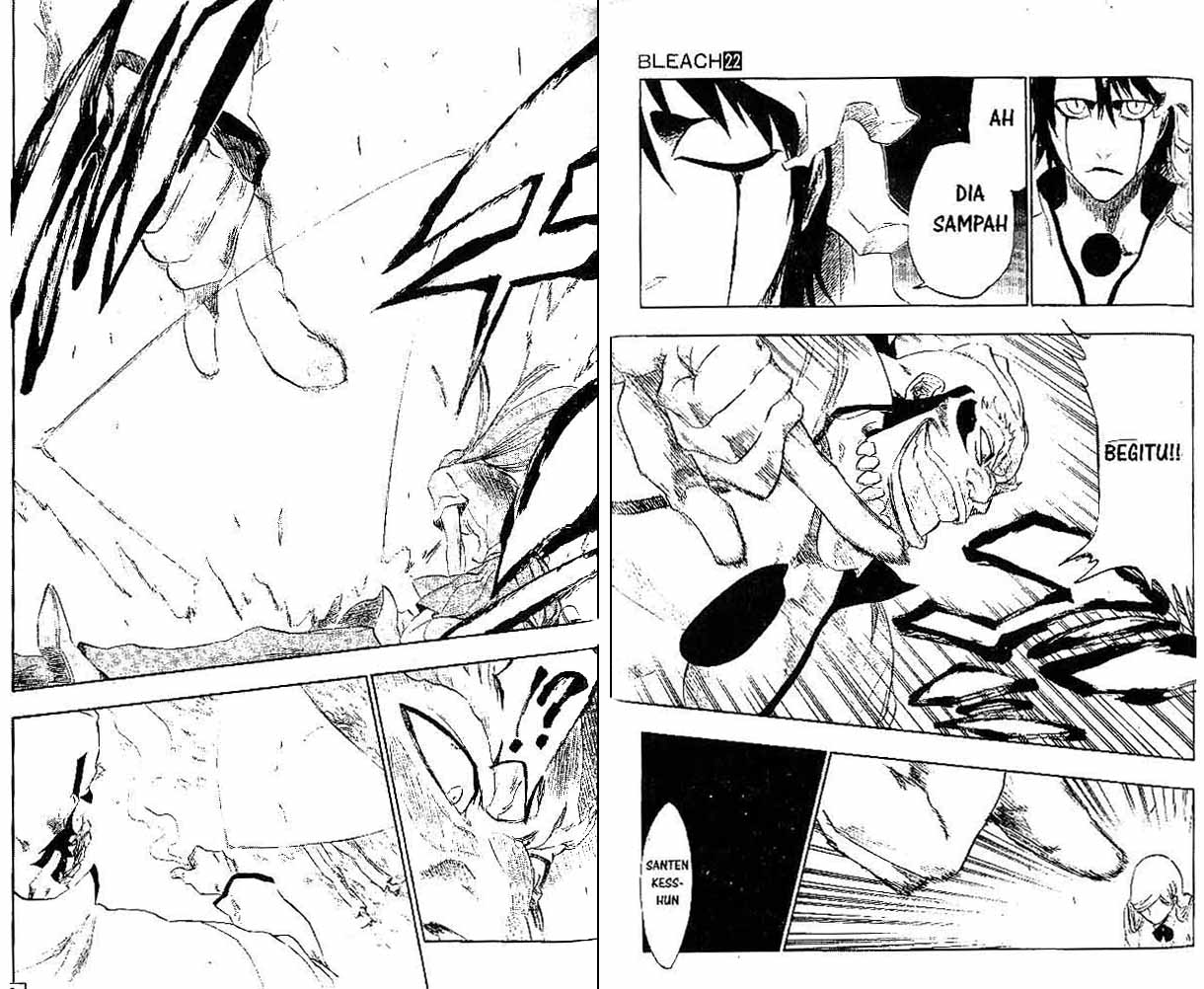 Bleach Vol 22 Bahasa Indonesia