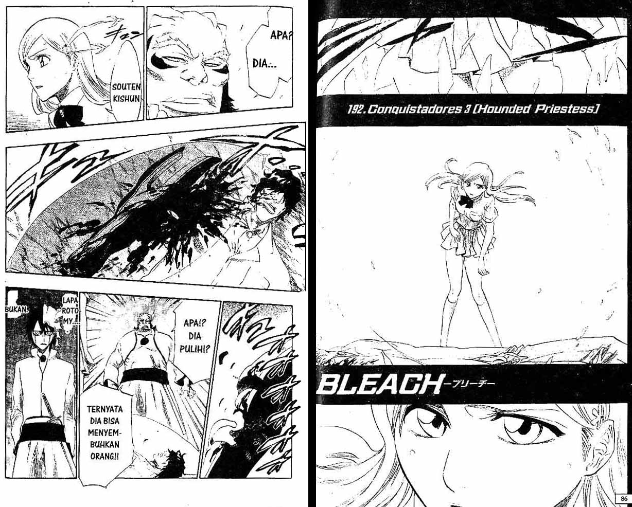 Bleach Vol 22 Bahasa Indonesia