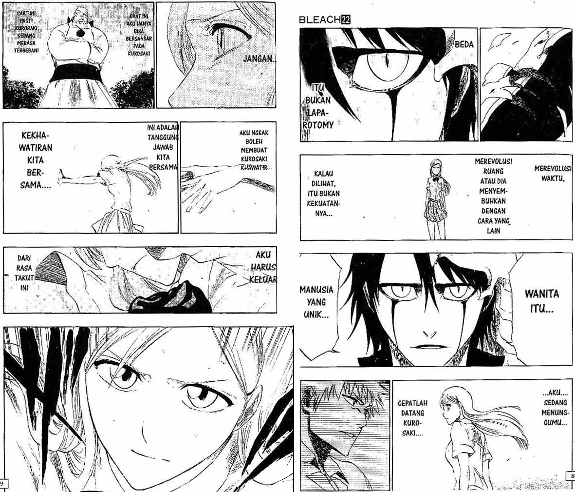 Bleach Vol 22 Bahasa Indonesia