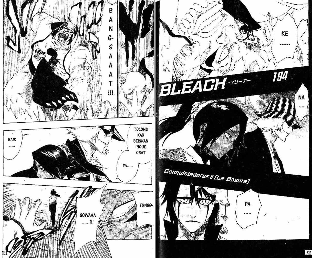 Bleach Vol 22 Bahasa Indonesia