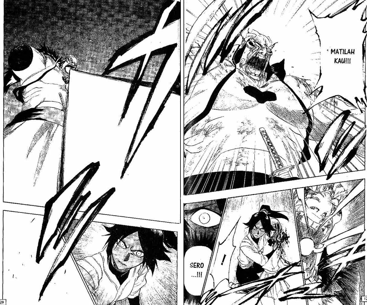 Bleach Vol 22 Bahasa Indonesia