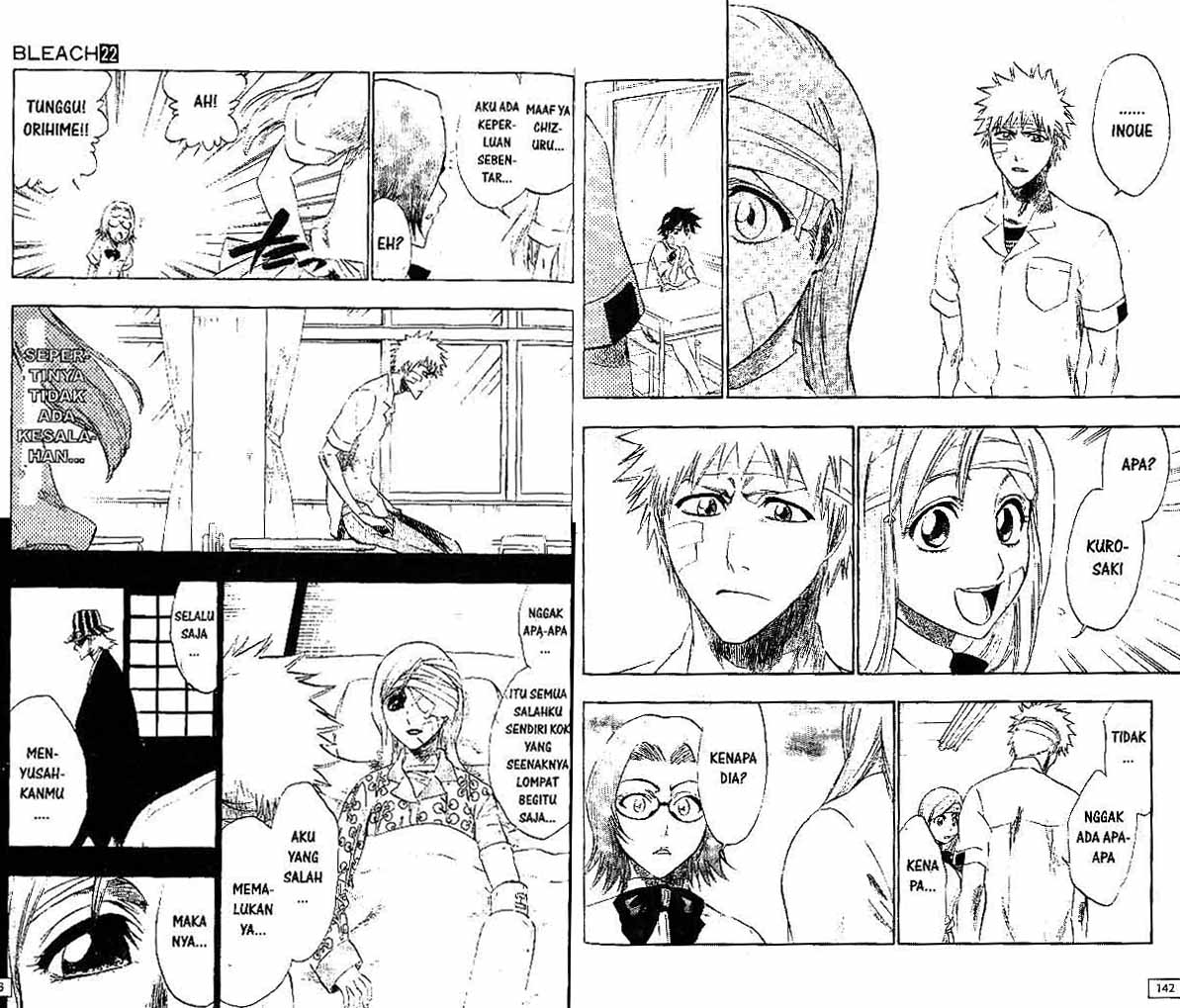 Bleach Vol 22 Bahasa Indonesia