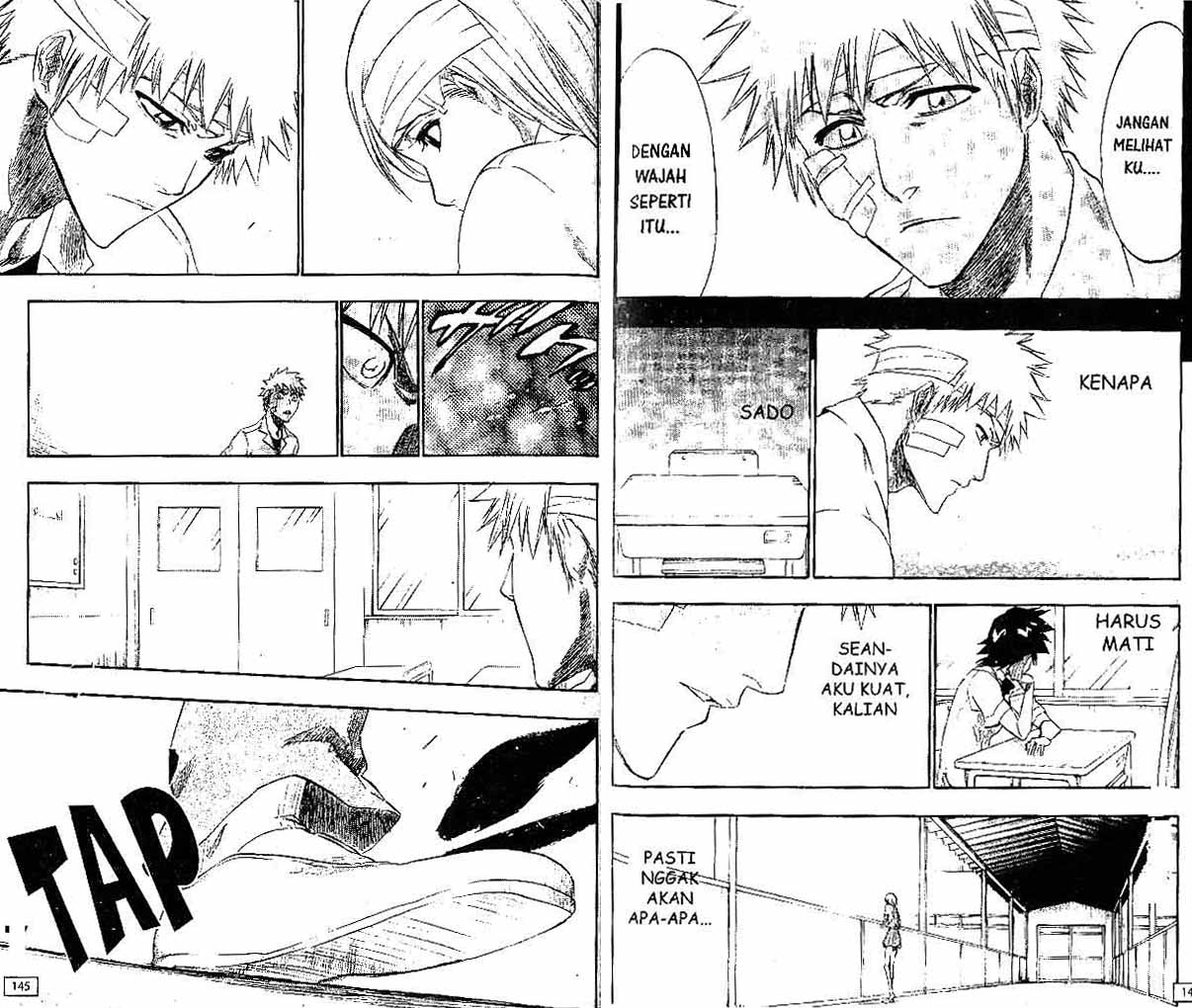 Bleach Vol 22 Bahasa Indonesia