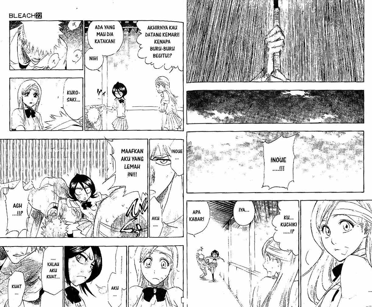 Bleach Vol 22 Bahasa Indonesia