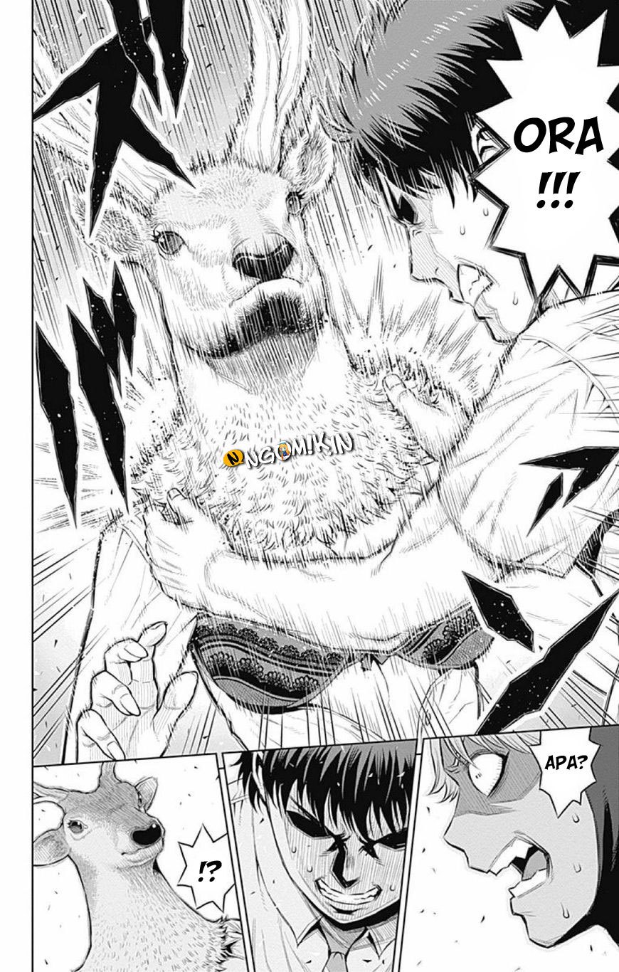 Cherry Teacher Sakura Naoki Chapter 17 Bahasa Indonesia