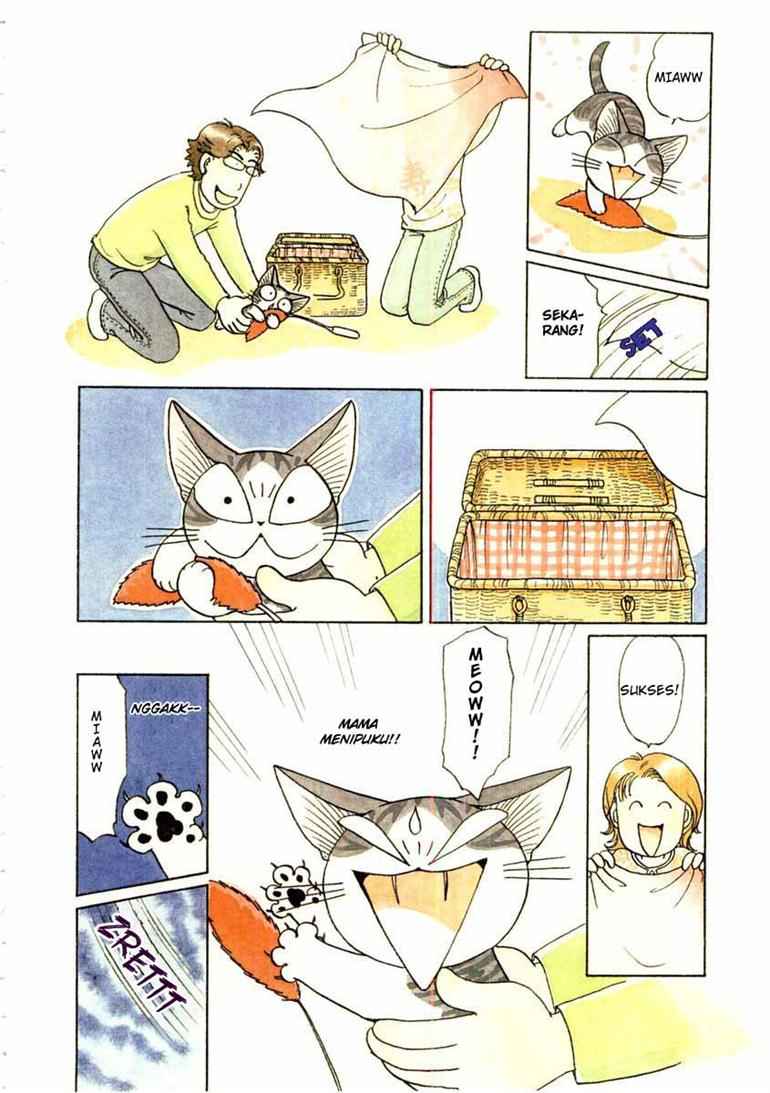 Chii’s Sweet Home Chapter 37