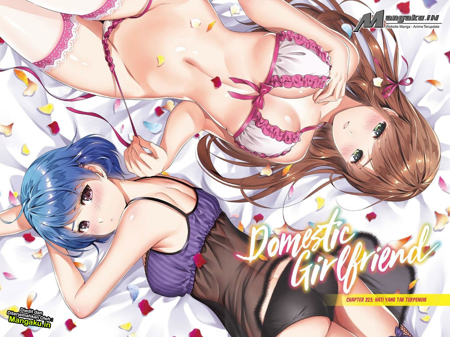 Domestic na Kanojo Chapter 223 Bahasa Indonesia