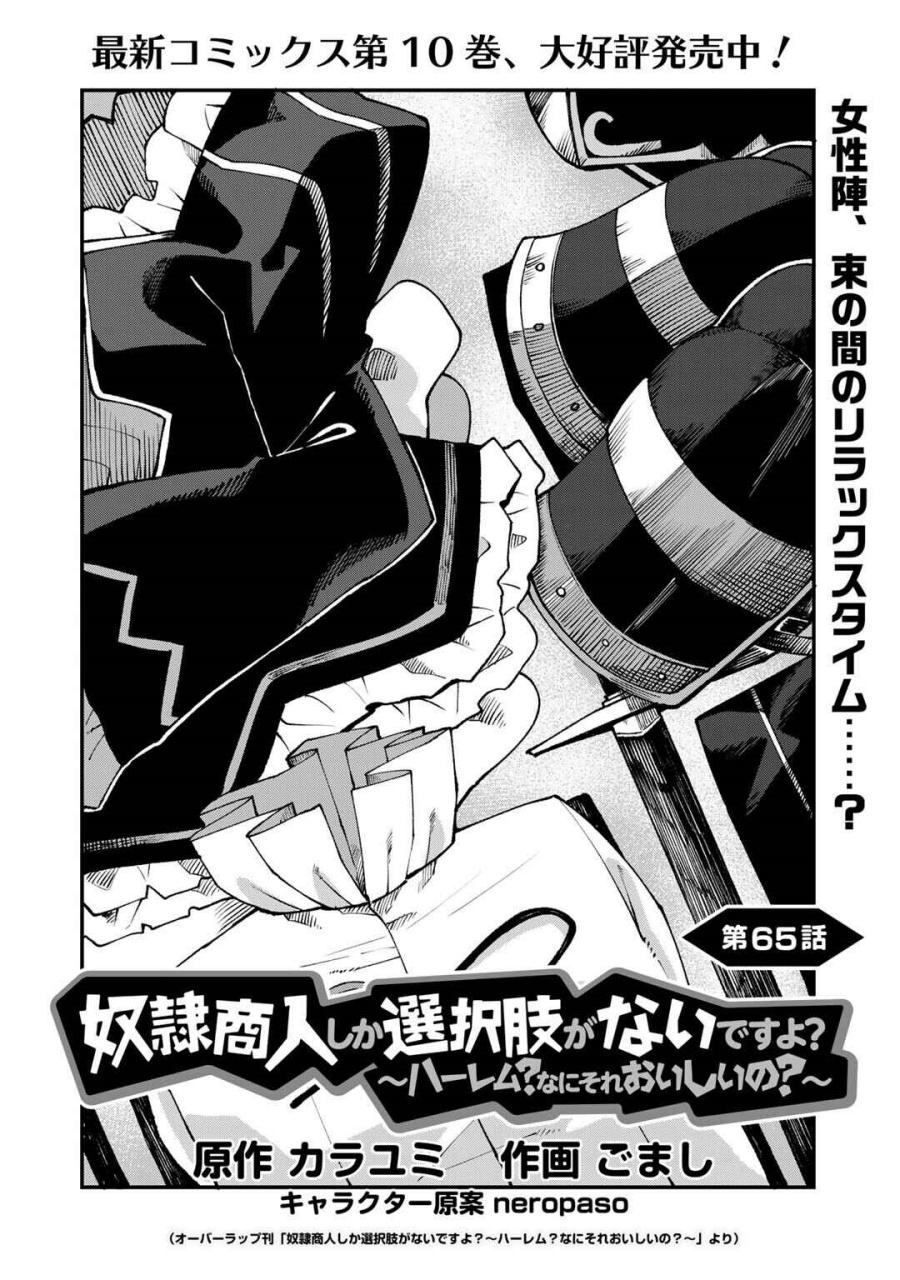 Dorei Shounin shika Sentakushi ga nai desu yo? ~Harem? Nani sore oishii no?~ chapter 65