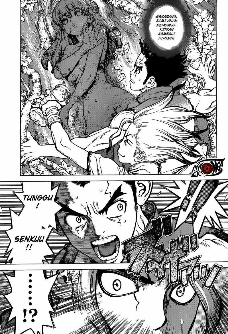 Dr. Stone chapter 3