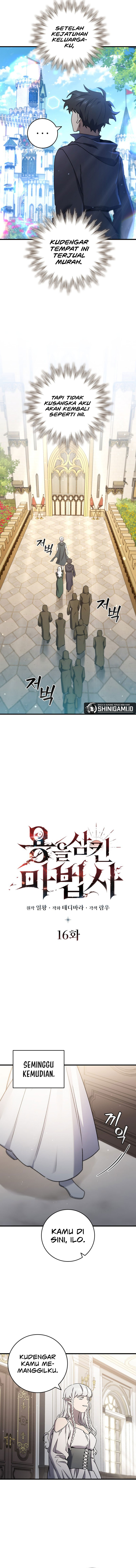 Dragon-Devouring Mage chapter 16