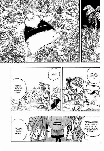 Fairy Tail Chapter 33 Bahasa Indonesia