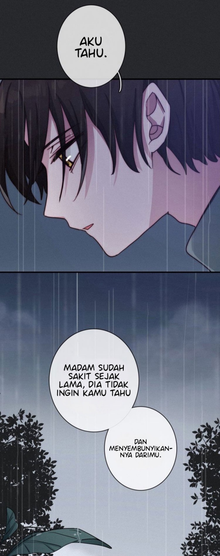 Falling in the Night with You chapter 26