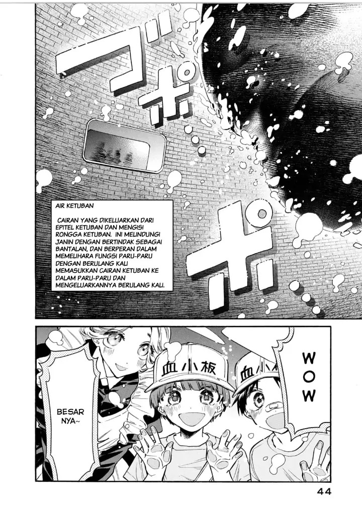 Hataraku Saibou LADY Chapter 12 Bahasa Indonesia