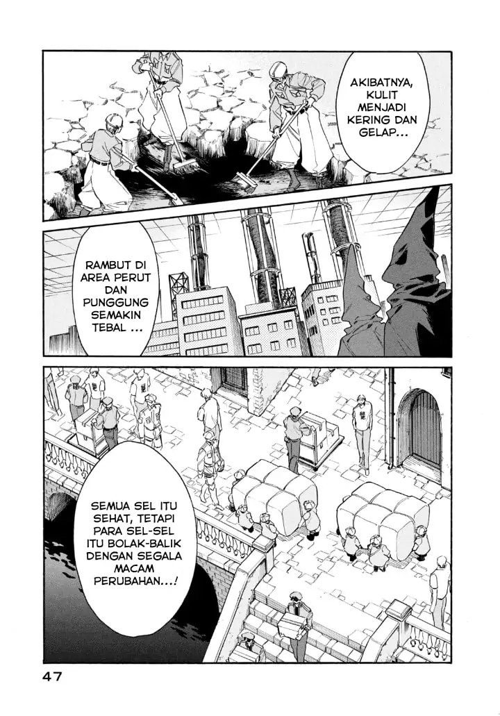 Hataraku Saibou LADY Chapter 12 Bahasa Indonesia