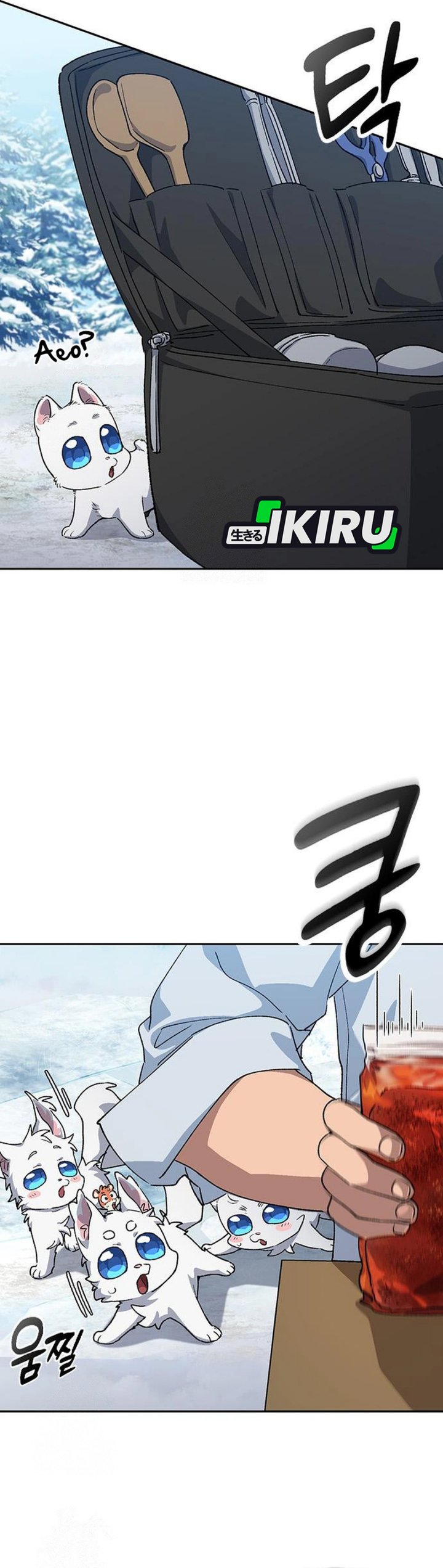 Healing Life Through Camping in Another World chapter 86